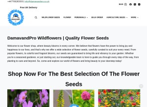 How damavandpro.co.uk looks like on a tablet such as an iPad.