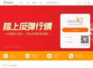 How danjuanapp.com looks like on a tablet such as an iPad.