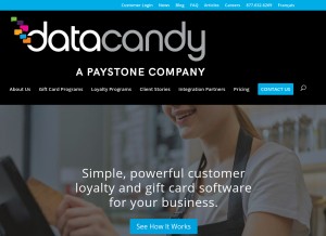 How datacandy.com looks like on a tablet such as an iPad.