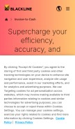 How datainterconnect.com looks like on a mobile device such as an iPhone.