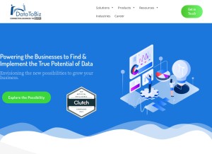 How datatobiz.com looks like on a tablet such as an iPad.