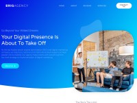 Desktop screenshot for brigagency.com