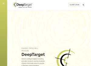 How deeptarget.com looks like on a tablet such as an iPad.
