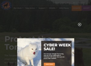 How defenders.org looks like on a tablet such as an iPad.