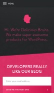 How deliciousbrains.com looks like on a mobile device such as an iPhone.