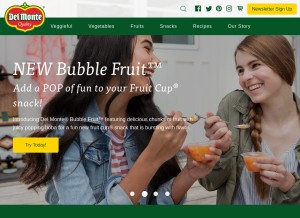 How delmonte.com looks like on a tablet such as an iPad.