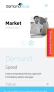 How demandblue.com looks like on a mobile device such as an iPhone.