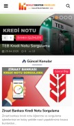 How devletdestekkredileri.com looks like on a mobile device such as an iPhone.