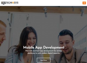 How devtechnosys.com looks like on a tablet such as an iPad.