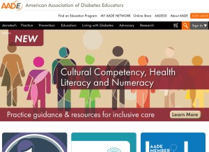 How diabeteseducator.org looks like on a tablet such as an iPad.
