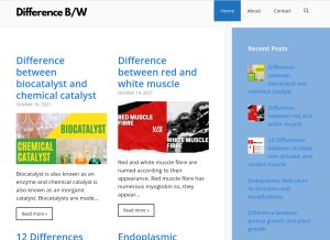 How differencebw.com looks like on a tablet such as an iPad.