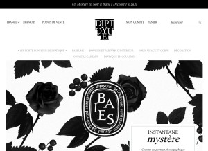 How diptyqueparis.com looks like on a tablet such as an iPad.