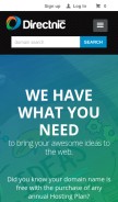 How directnic.com looks like on a mobile device such as an iPhone.