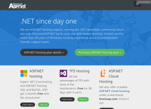 How discountasp.net looks like on a tablet such as an iPad.