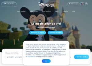 How disneylandparis.com looks like on a tablet such as an iPad.