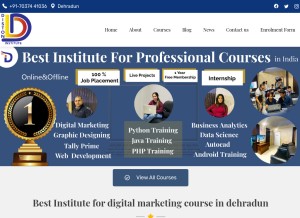 How distoninstitute.com looks like on a tablet such as an iPad.