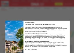 How dna.fr looks like on a tablet such as an iPad.