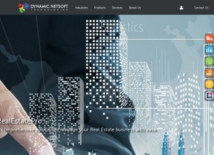 How dnetsoft.com looks like on a tablet such as an iPad.