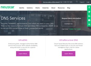 How dnsadvantage.com looks like on a tablet such as an iPad.