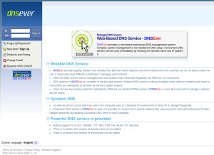 How dnsever.com looks like on a tablet such as an iPad.