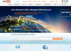 How dnsexit.com looks like on a tablet such as an iPad.