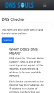 How dnssouls.com looks like on a mobile device such as an iPhone.