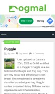 How dogmal.com looks like on a mobile device such as an iPhone.