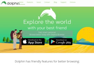 How dolphin-browser.com looks like on a tablet such as an iPad.