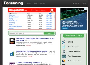 How domaining.com looks like on a tablet such as an iPad.