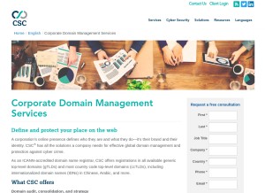 How domainnetwork.se looks like on a tablet such as an iPad.