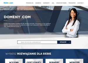 How domeny.com looks like on a tablet such as an iPad.