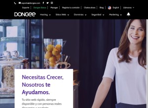 How dongee.com looks like on a tablet such as an iPad.