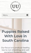 How doubleudoodles.com looks like on a mobile device such as an iPhone.