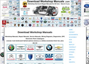 How downloadworkshopmanuals.com looks like on a tablet such as an iPad.