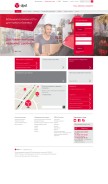 How dpd.ru looks like on a mobile device such as an iPhone.