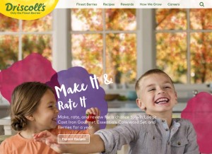 How driscolls.com looks like on a tablet such as an iPad.