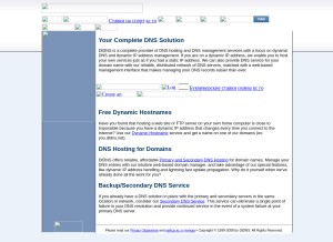How dtdns.net looks like on a tablet such as an iPad.