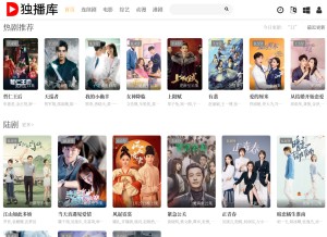 How duboku.net looks like on a tablet such as an iPad.