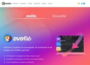 How dvdfab.fr looks like on a tablet such as an iPad.