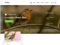 Desktop screenshot for birdzfly.com