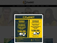 Desktop screenshot for padinet.com