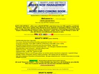 Desktop screenshot for mdmetric.com