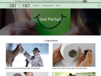 Desktop screenshot for justperfact.com