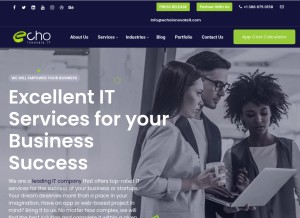 How echoinnovateit.com looks like on a tablet such as an iPad.