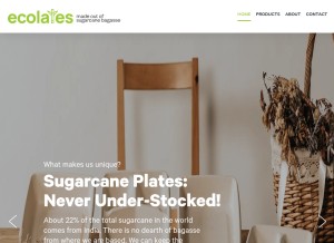 How ecolates.com looks like on a tablet such as an iPad.