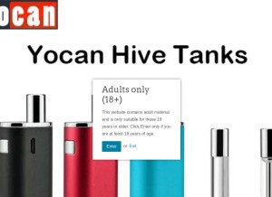 How economyvapes.com looks like on a tablet such as an iPad.