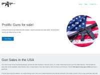 Desktop screenshot for gunsaleusa.com
