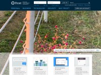 Desktop screenshot for frostbank.com
