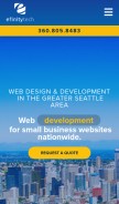 How efinitytech.com looks like on a mobile device such as an iPhone.