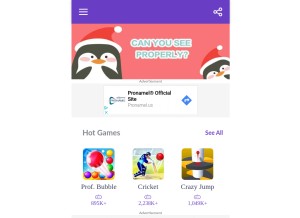 How elecbean.com looks like on a tablet such as an iPad.